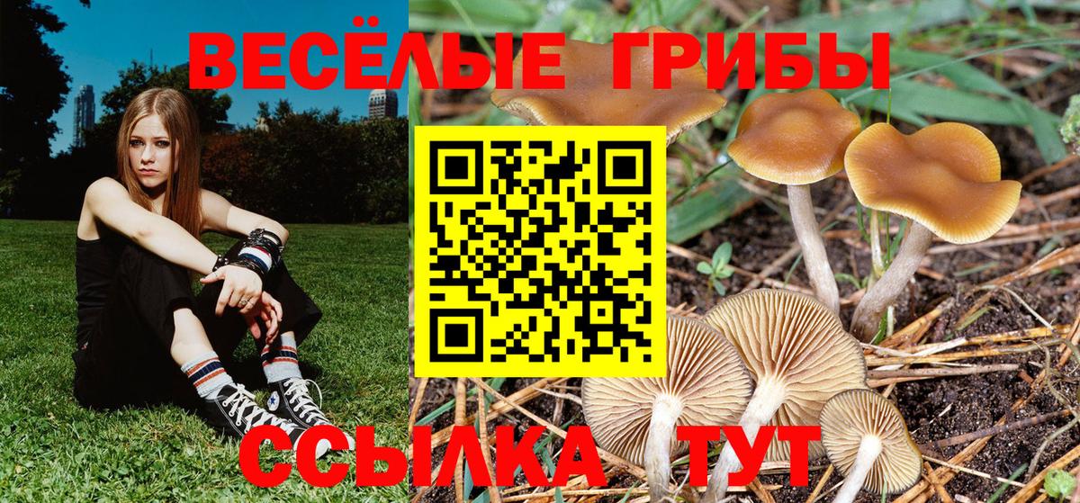 Галлюциногенные грибы мицелий Дальнегорск