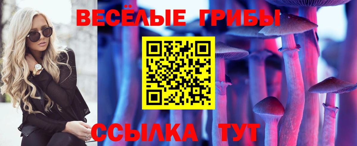 Дальнегорск  Галлюциногенные грибы Psilocybe  Вход с VPN  Галлюциногенные грибы GOLDEN TEACHER 